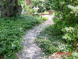 Web yard 042.jpg (100928 bytes)